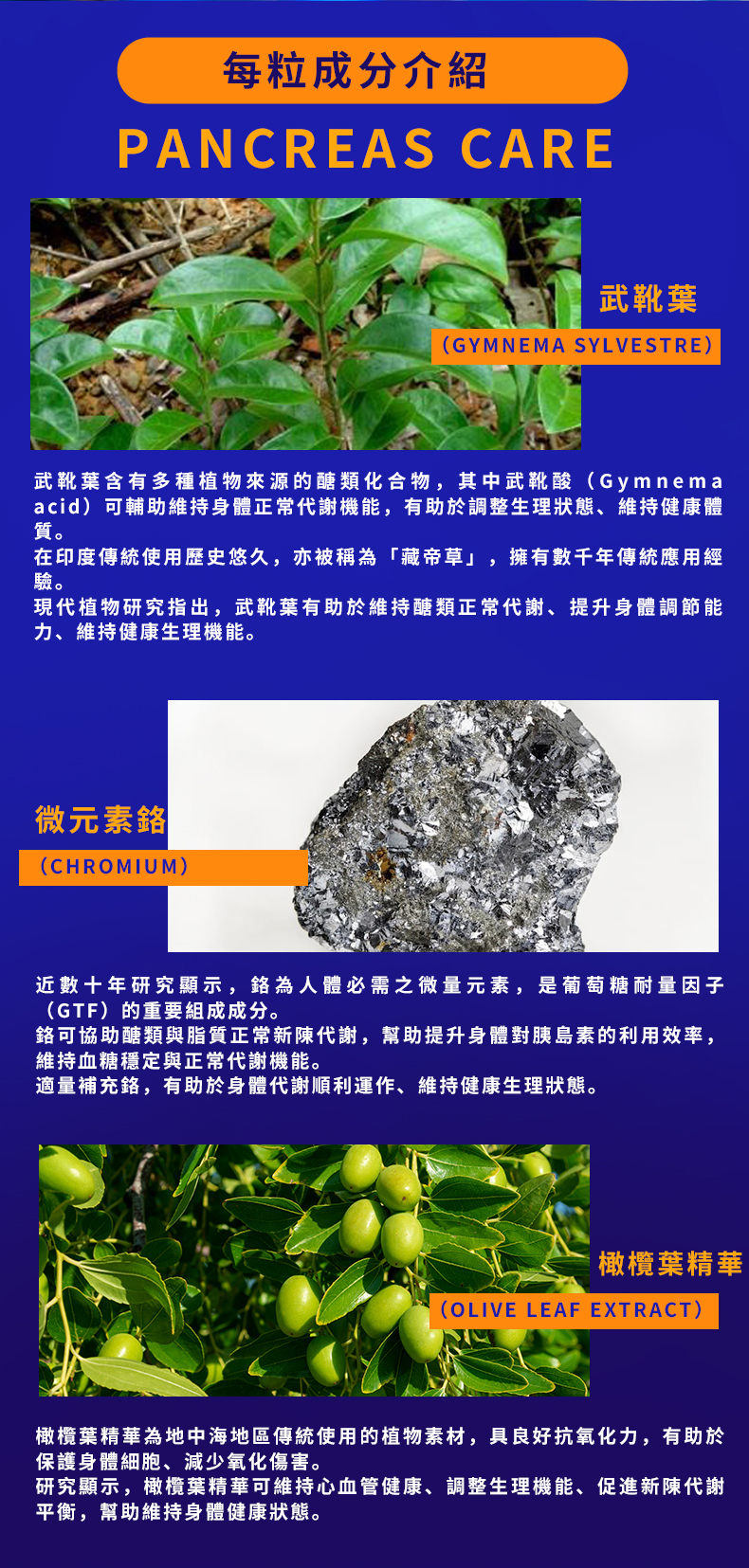 胰康靈 PANCREAS CARE 詳情圖